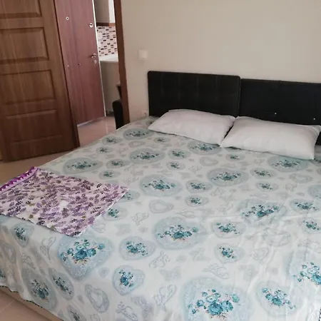 Moonlight Complex 3 Flat 3 *